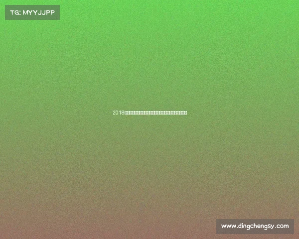 2018年中国女排辉煌征程：雅加达亚运夺冠与世锦赛铜牌之旅